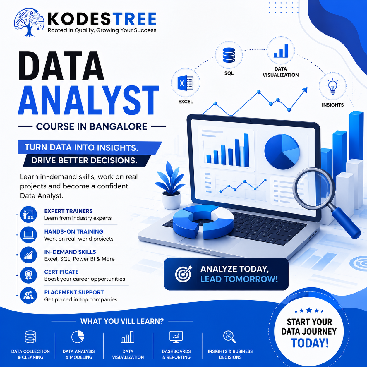 Data Analyst Course