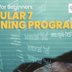 Angular 7 Training Program