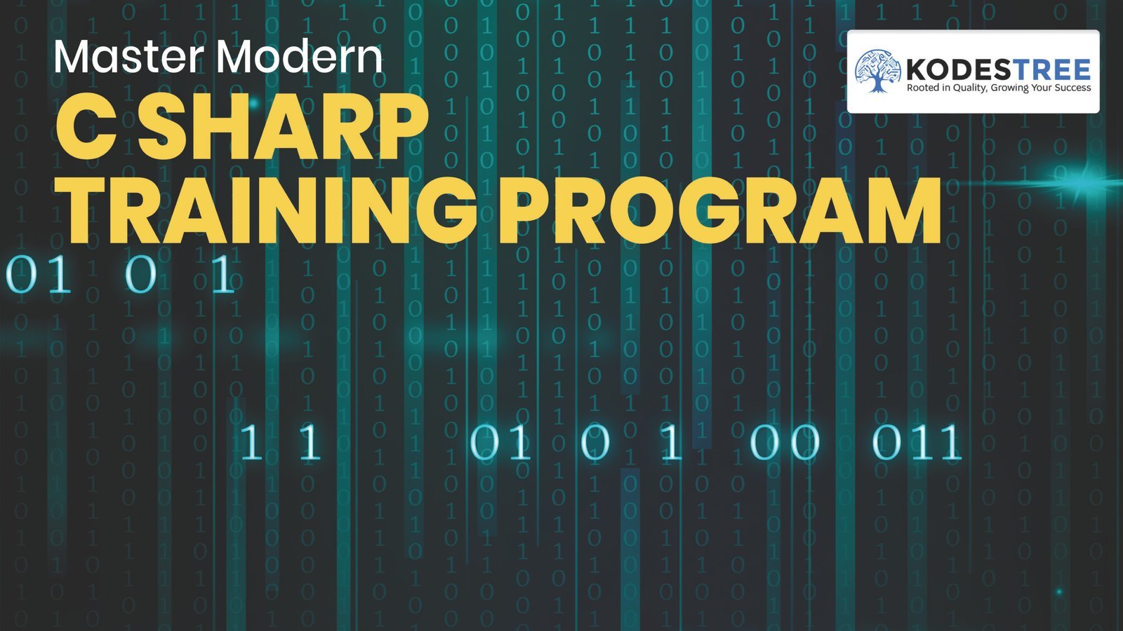 C Sharp Training Program