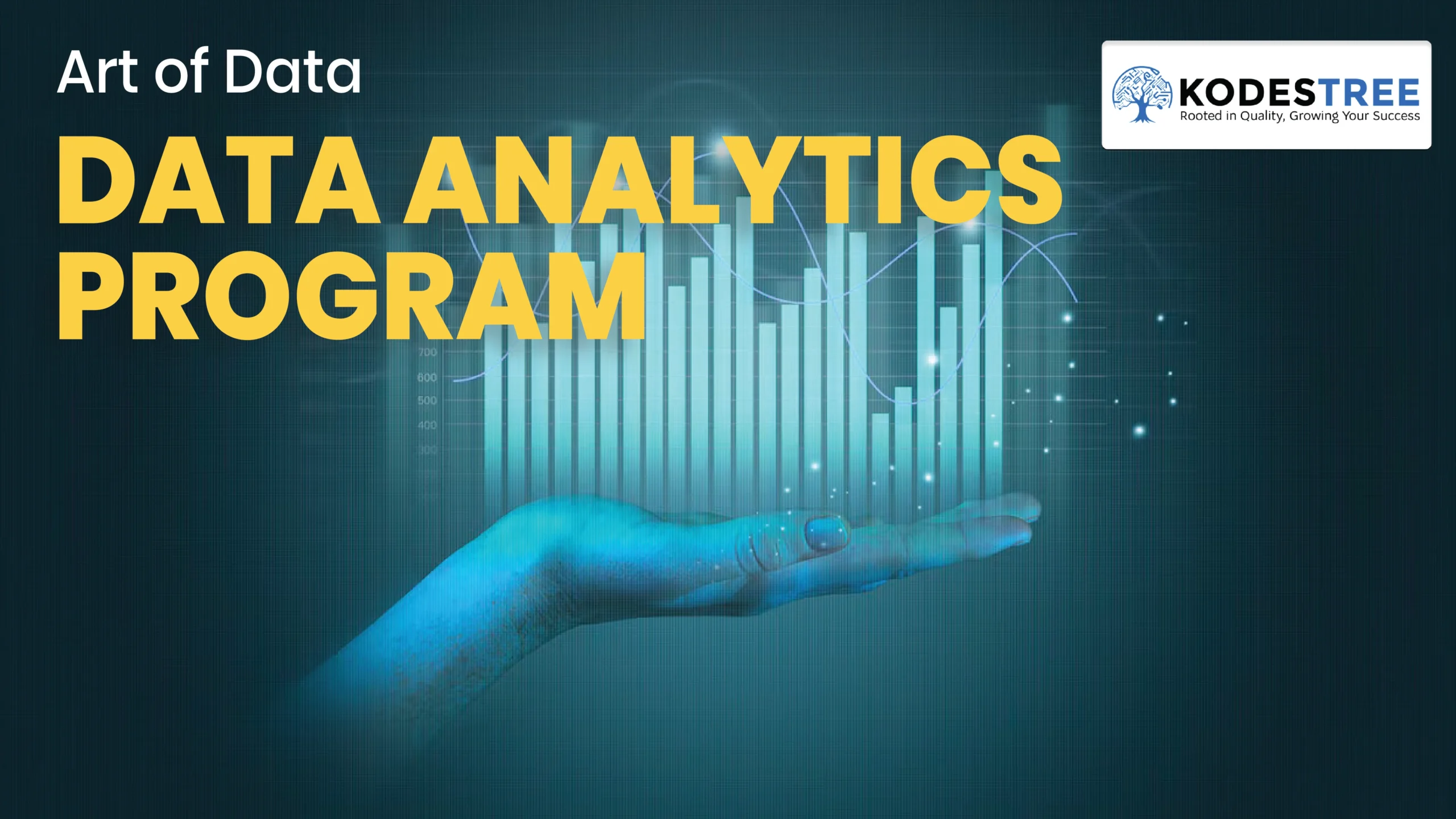 Data Analytics Program