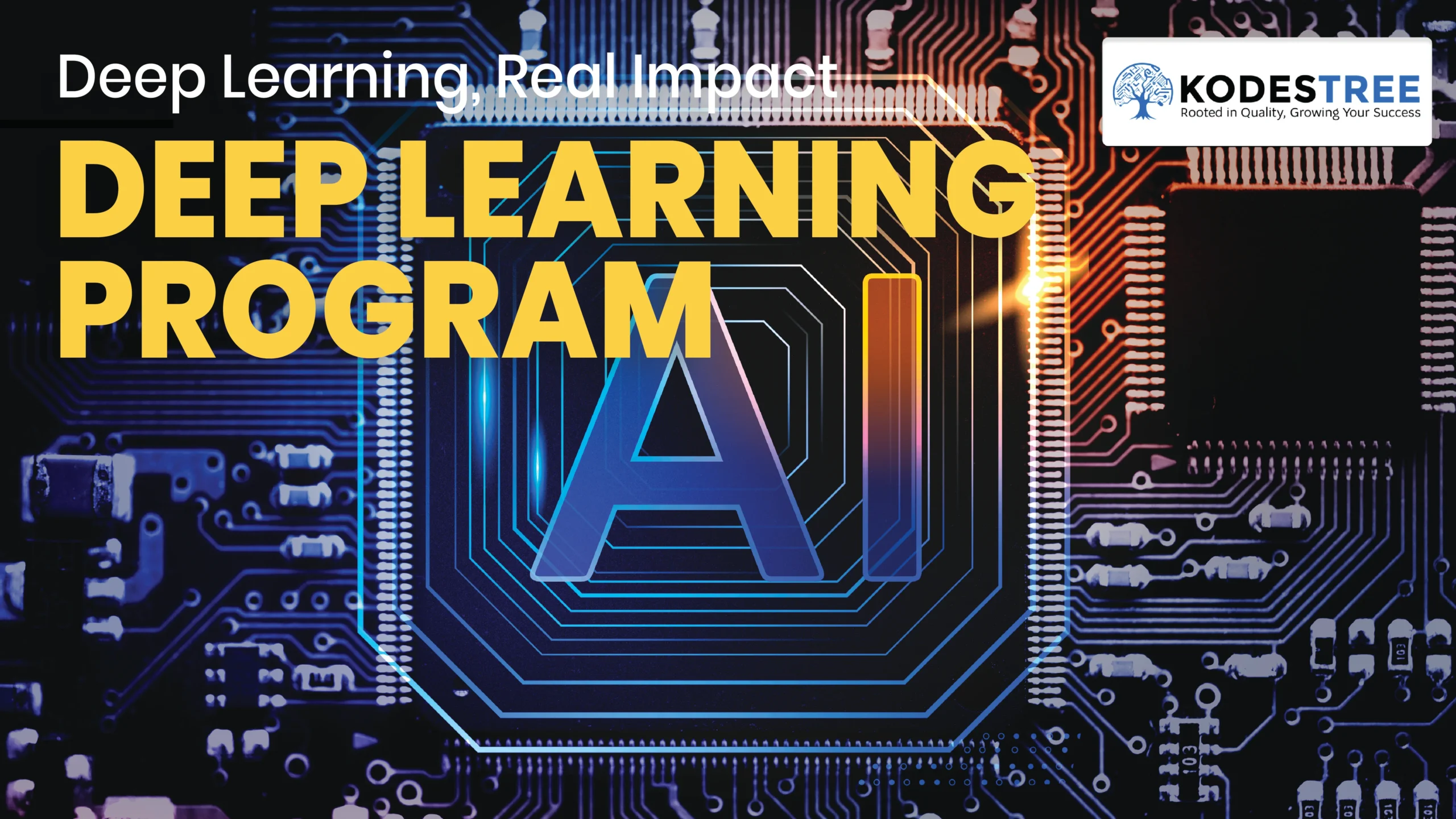 Deep Learning program