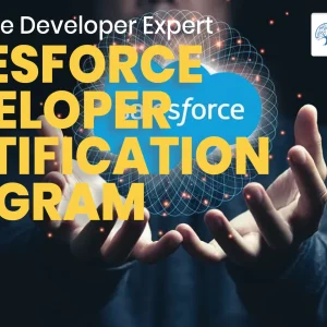 Salesforce Developer Certification Program