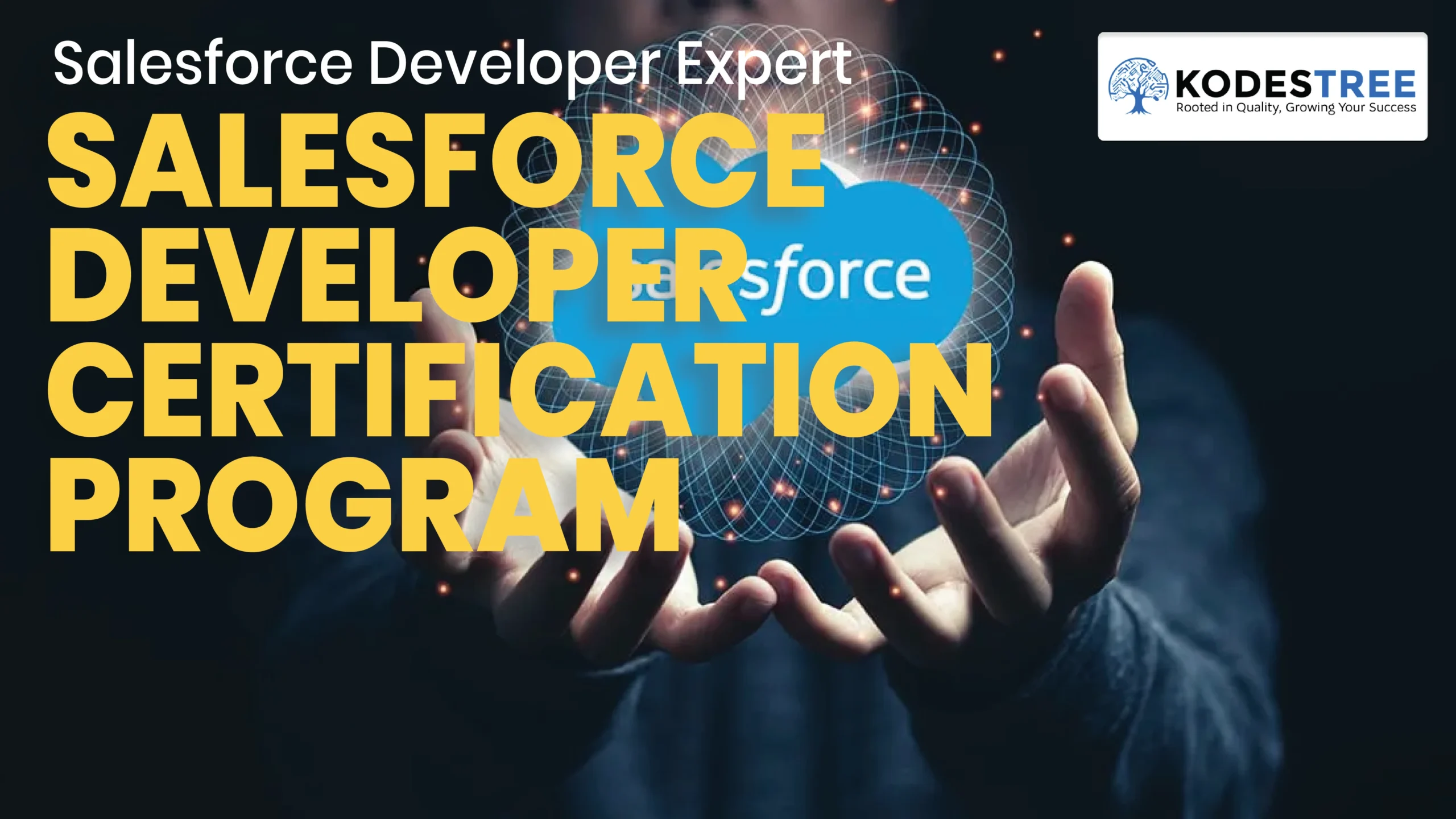 Salesforce Developer Certification Program