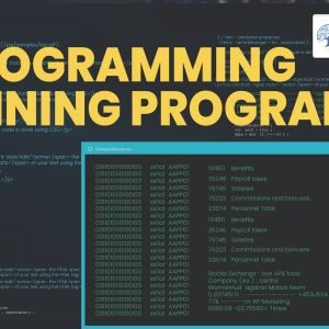 R Programming Training Program