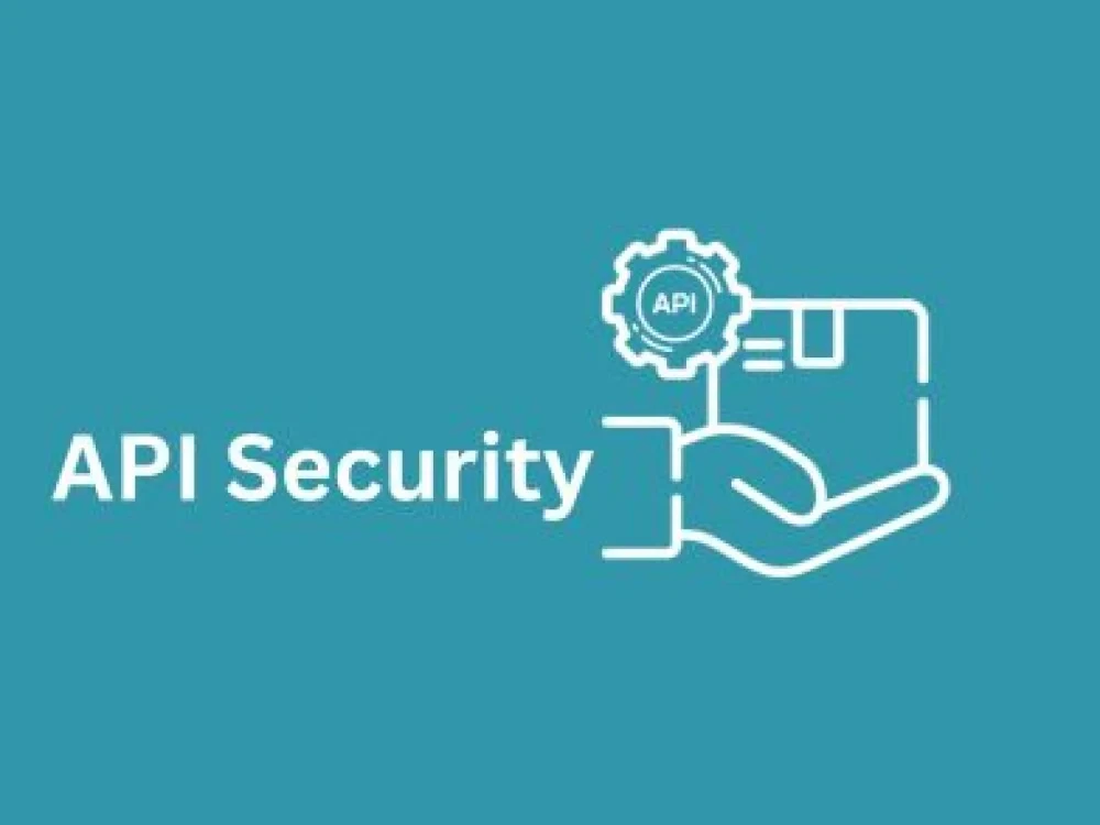API Security Course Online