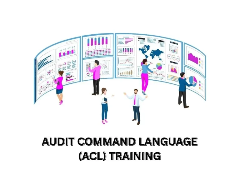 Audit Command Language (ACL) Training