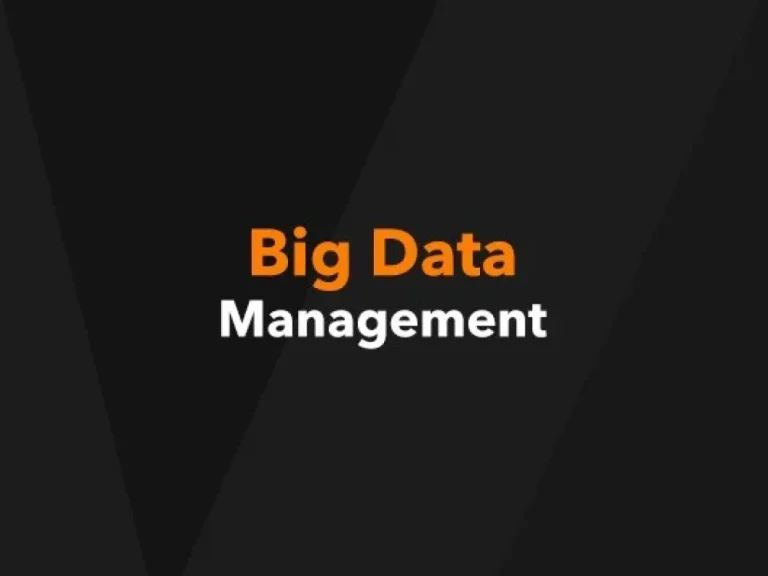 BDM Training Online and Certification Course