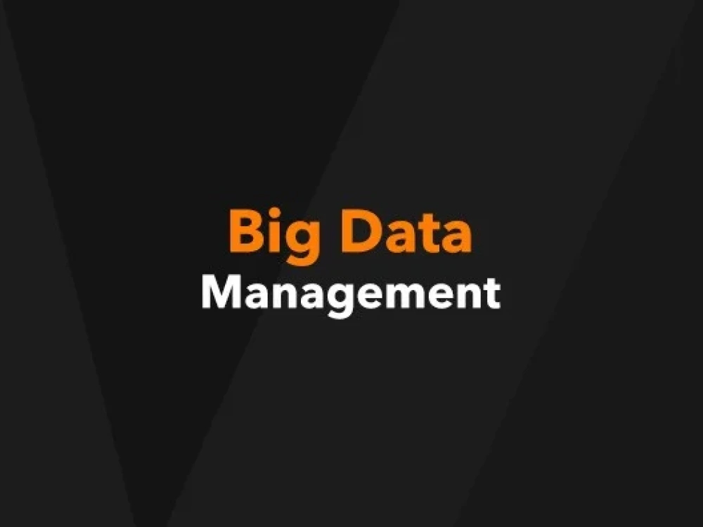 BDM Training Online and Certification Course
