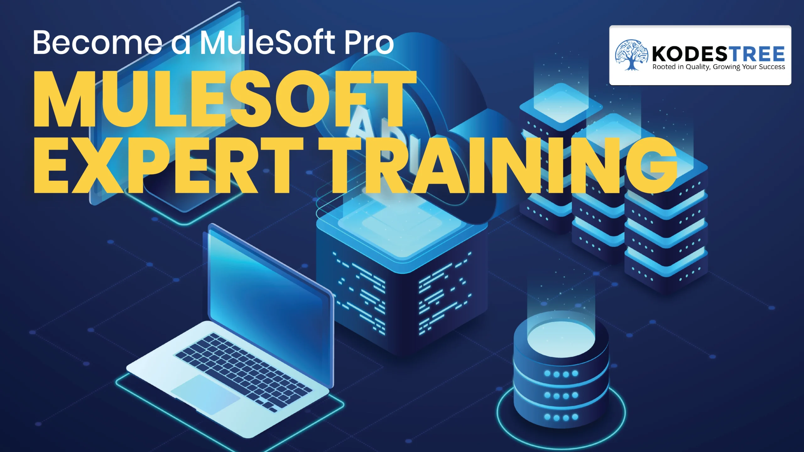 MuleSoft Expert Training
