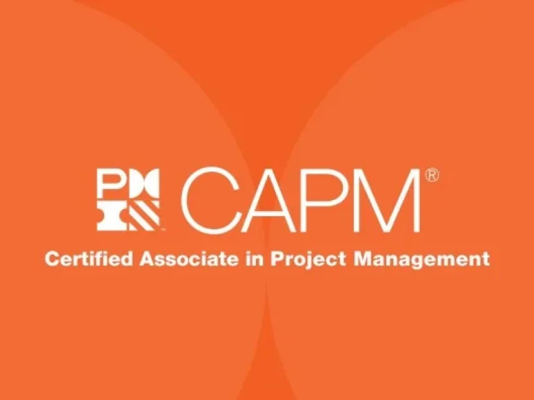 CAPM Training Course Online