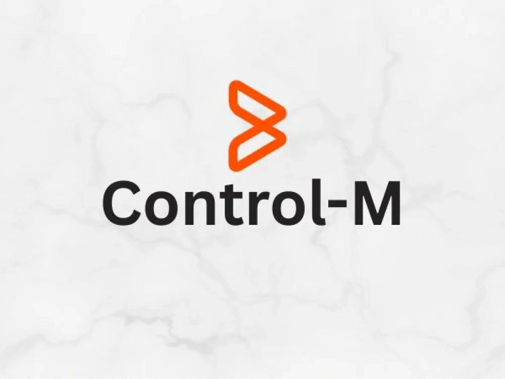 Control-M Training