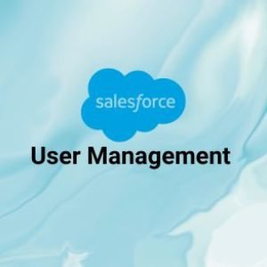 User Management in Salesforce CRM