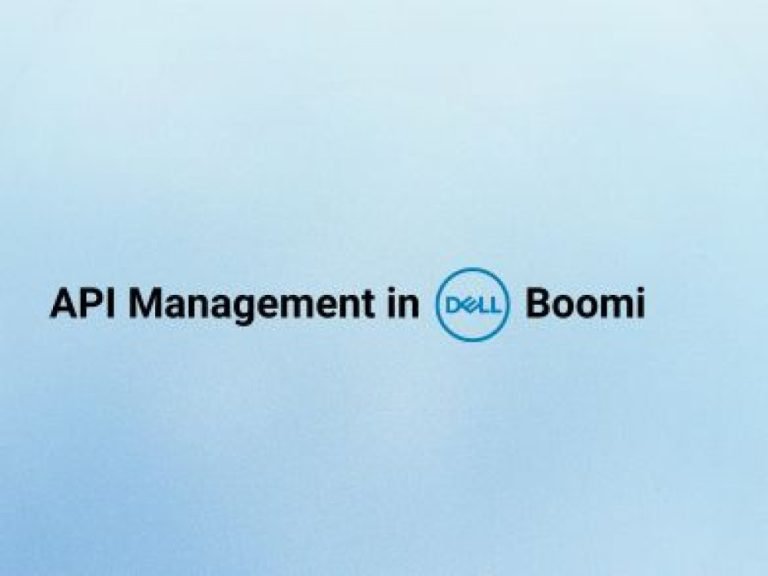 API Management in Dell Boomi