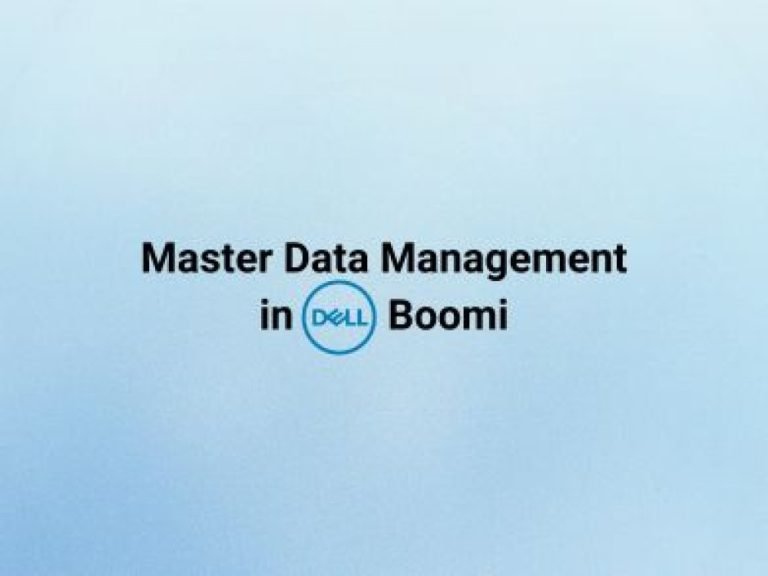 Master Data Management in Dell Boomi