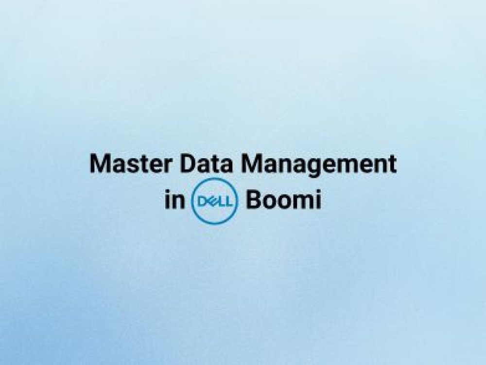 Master Data Management in Dell Boomi
