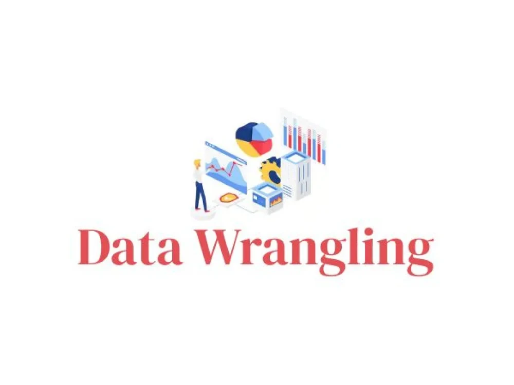 Data Wrangling Training Online