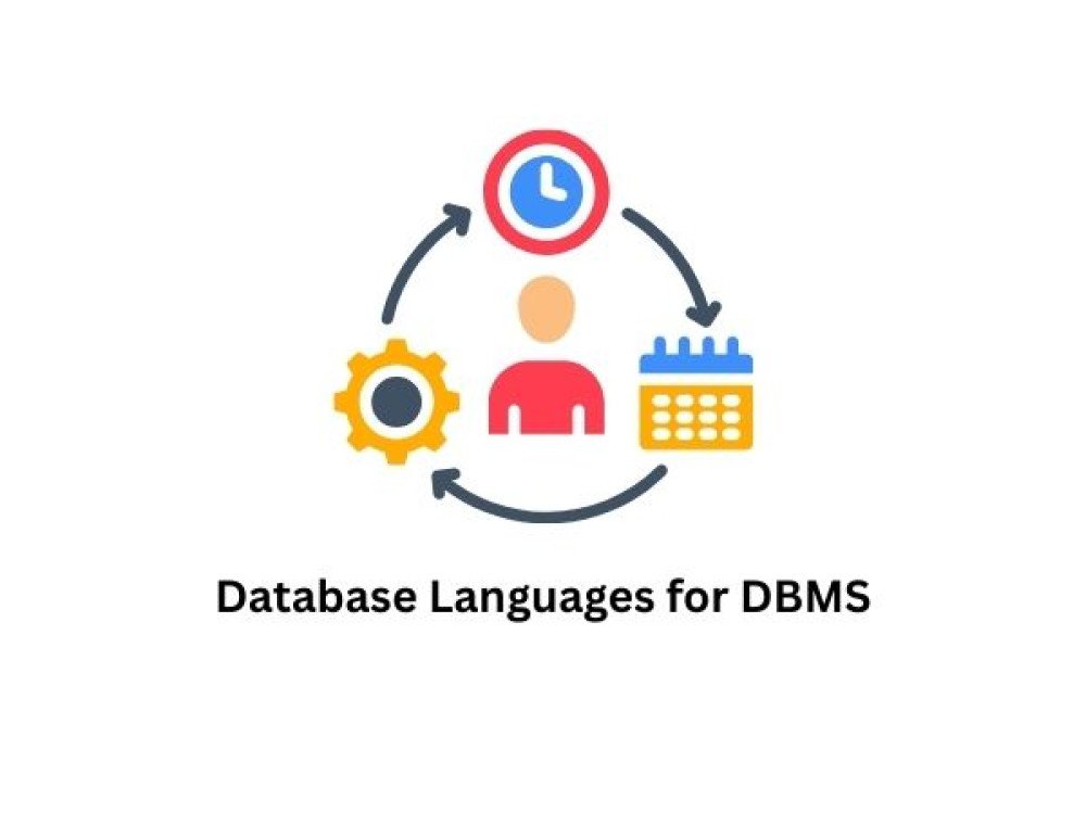 Database Languages for DBMS