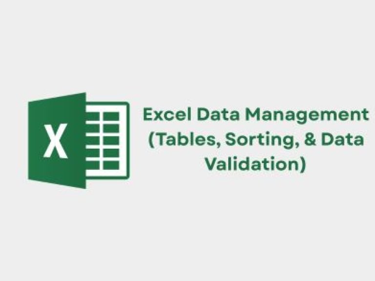 Excel Data Management