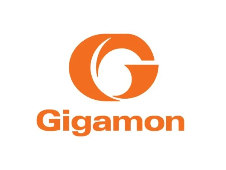 Gigamon Certification Training Online