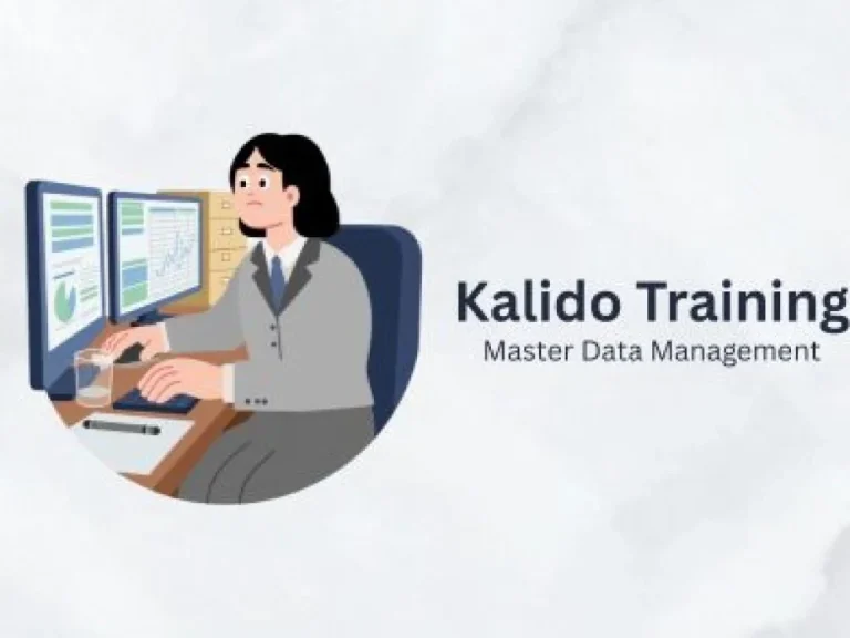 Kalido Training Course