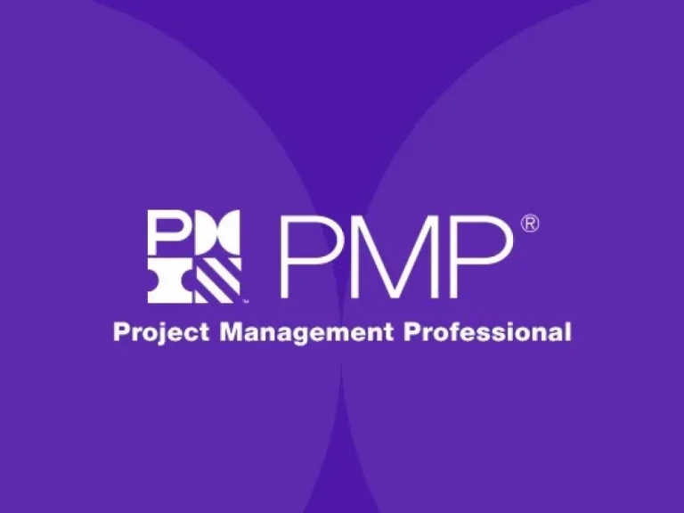 PMP (Project Management Professional) Course Certification