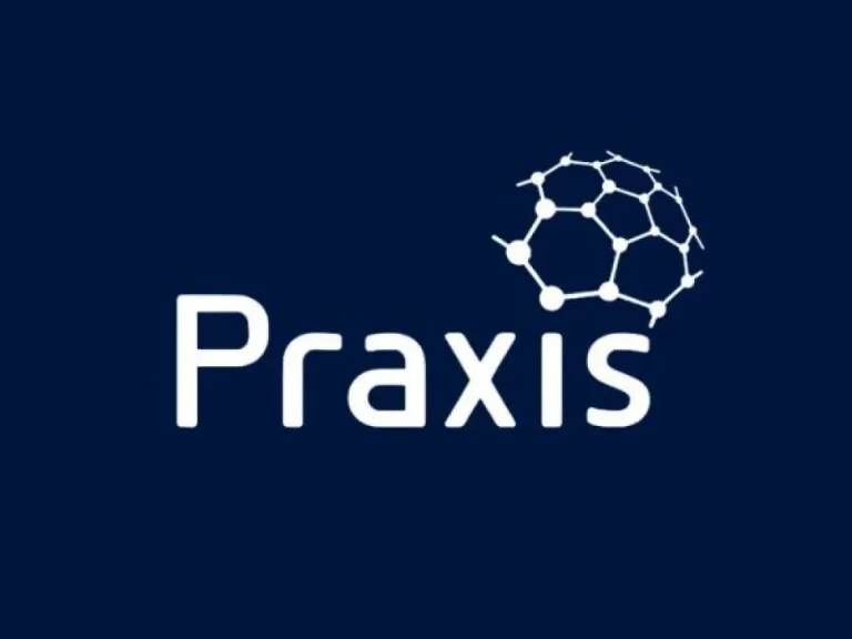 Praxis Course Online