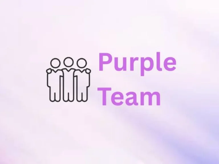 Purple Team Course Online