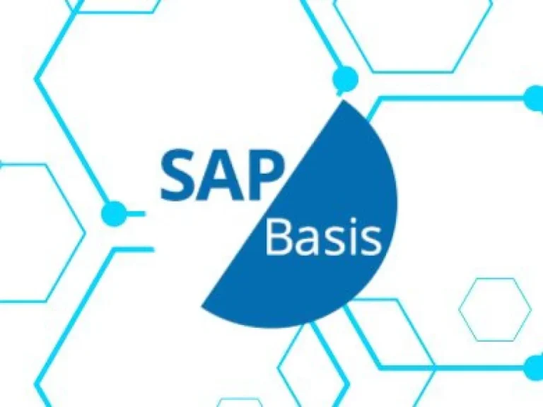SAP BASIS Online Training Course