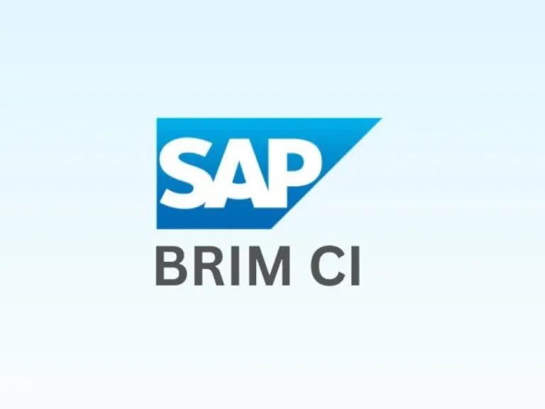 SAP BRIM CI Training