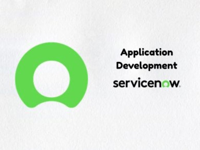 ServiceNow Application Development