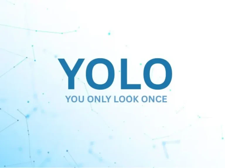 YOLO Training Online